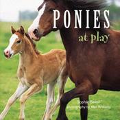 Sophie Bevan / Ponies at Play (Hardback)