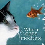 David Baird / Where Cats Meditate (Hardback) image