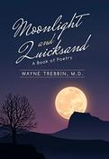 Wayne Trebbin / Moonlight and Quicksand (Hardback) image