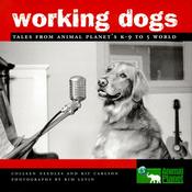 Colleen Needles / Working Dogs (Coffee Table Book) image