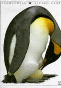 Miranda Smith / Eyewitness  : Living Earth (Coffee Table Book) image