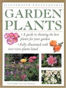 Susan Berry / Garden Plants (Coffee Table Book) image
