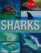 Family Reference Guide Sharks (Coffee Table Book) image