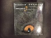 Desmond Morris / Catwatching (Coffee Table Book) image