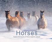 Philip De Ste Croix / Horses (Coffee Table Book) image