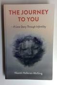 Niamh Holleran-McGing / The Journey to You image