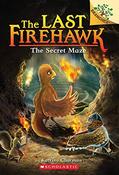Katrina Charman / The Secret Maze image