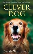 Sarah Whitehead / Clever Dog (Hardback) image