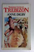 Anne Digby / Summer Term at Trebizon (Vintage Paperback) image