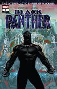 Black Panther (2018) #1: Book 1: Many Thousands Gone image