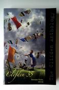 Brendan Flynn / Clifden 35 (Large Paperback) image