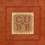 Annie Gottlieb / The Cube (Large Paperback) image