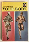 Your Body (Ladybird) image