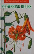 I. E. Petrova / Flowering Bulbs (Hardback)