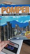 Domenico D'Oriano / I have seen Pompeii (Large Paperback)