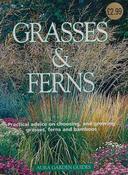 Ulrike Leyhe / Grasses and ferns (Large Paperback) image
