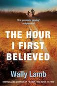 Wally Lamb / The Hour I First Believed