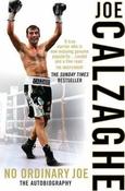 Joe Calzaghe / No Ordinary Joe image