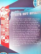 Disney / High School Musical 2: Wildcat Spirit image