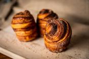Cinnamon Roll