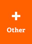 Other Amount