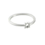 Fruit Bijoux Minimal Ring Silver image