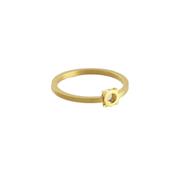 Fruit Bijoux Minimal Ring Gold Plated Silver image