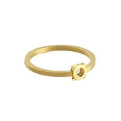 Fruit Bijoux Minimal Ring Gold Plated Brass image
