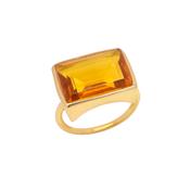 Lenny Ring image