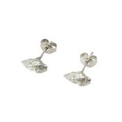Whelk Shell Stud Earrings (Silver or Gold) image