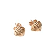 Tiny Cockle Shell Stud Earrings (Silver or Gold)
