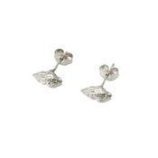 Whelk Shell Stud Earrings (Silver or Gold)