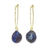 Aykoa Earrings image