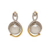 Wave Earrings (Silver / Silver &amp; Gold) image