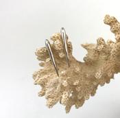 Sea Urchin Spine Earrings - Silver in various sizes