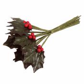 Holly Leaves and Berries image