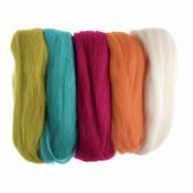 Wool Roving Multipacks 50g image
