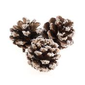 Pine Cones: Frosted: 9 Pieces: 5cm image