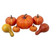 Pumpkin/Gourds Pk of 7