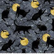 Hocus Pocus Black Cats