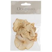 Dried Apple Slices Natural 15g