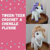 Teens/ Tweens Crochet A Chenille Plushie