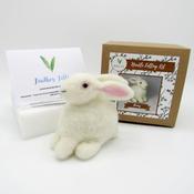 Beginner Needle Felting Kits