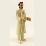 Interchangeable Groom 5