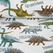 Printed Fleece - Dinosaur image