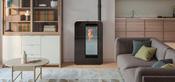 Monaco Pellet Stove