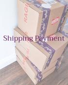Payment Hub~ Shipping Fees