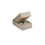 1695 - New York Cardboard Box - 2 Bottles