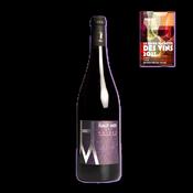 Domaine du Petit Bondieu - Chinon "Haut Midi" 2023