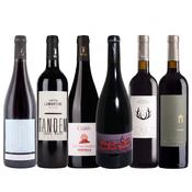 The FP Light-Bodied Red Case — 6 Bottles